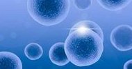 深度剖析试管胚胎碎片多的原因，与精卵质量脱不了干系
