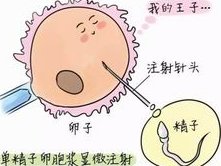 试管自然周期怀双胞胎有风险！成功率再高也不能随意做