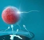 确诊为免疫性不孕能在枝江市做试管婴儿吗？做三代试管需要多少钱？