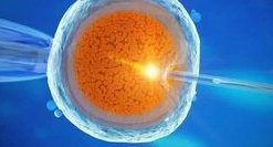 信阳三代试管婴儿比较好的私立医院靠谱吗？成功率高吗？