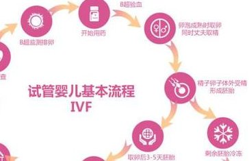 宁夏妇幼保健院做试管婴儿要多少钱？(2026银川怀孕费用参考)