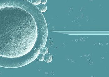 泰国试管婴儿移植费用多少？去哪个医院好？