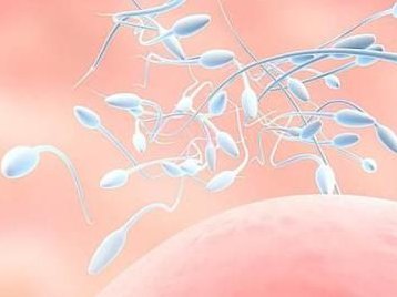 试管婴儿长大后是不是容易患上代谢病？