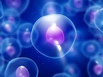 做了结扎手术可以在福州市试管医院做试管婴儿吗？费用是多少